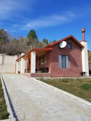 Home in nature Near Tbilisi - Villa gurulo